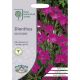 RHS Dianthus Deltoides