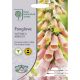 RHS Foxglove Sutton's Apricot