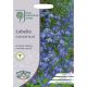 RHS Lobelia Cascade Blue