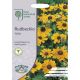 RHS Rudbeckia Toto