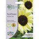 RHS Sunflower Valentine