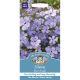 Silene Blue Angel