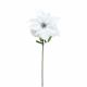 Silk Poinsettia White with Glitter Centre Silver
