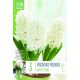 Hyacinth Early Forcing White Pearl