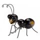 Hangers On - Large Ant