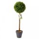 Faux Topiary Uno Tree 40cm