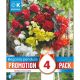 Begonia Cascade Pendula Mixed Colours - Promotion Pack of 4