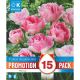 Tulip Double Finola - Promotion Pack of 15