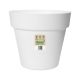 Florus Paris Flower Pot - White