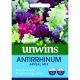 Antirrhinum Appeal Mix