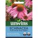 Echinacea Pow Wow Wild Berry