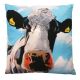 Eoin O'Connor Cushion - Tinahely Girl