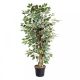 Faux Houseplants - Weeping Fig 130cm