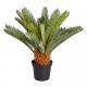 Faux Houseplants - Sago Palm 68cm