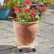 Woodland Pot Caddy 30cm