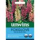 Foxglove Excelsior Mix