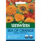 Unwins Sea of Orange Mixed Annuals