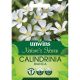 Nature's Haven Calindrinia Bianca
