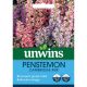Penstemon Cambridge Mix