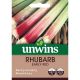 Rhubarb Early Red