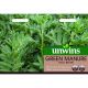Green Manure Field Beans