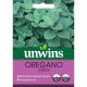 Herb Oregano Greek