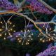 Starburst Solar Lights - Set of 10