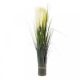 Faux Bouquet - White Pampas 70cm