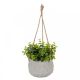 Faux Topiary Easy Basket - D