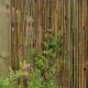 Bamboo Cane Screening 1m x 4m