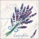 Napkin 33x33cm Lavendula (Pack of 20)
