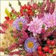 Napkin 33x33cm Autumn Flowers (Pack of 20)