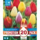 Tulip Triumph Mixed Colours - Promotion Pack of 20