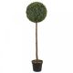 Faux Topiary Uno Tree 120cm
