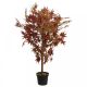 Faux Red Acer 120cm