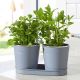 Herb Pots 1L - Slate (Set of 2)
