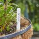Useful - Plant Labels 10cm (Pack of 50)