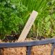 Useful - Wooden Plant Labels 15cm (Pack of 20)