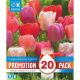 Tulip Darwin Hybrid Pastel Mixed Colours - Promotion Pack of 20