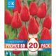 Tulip Triumph Red - Promotion Pack of 20