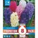 Hyacinth Mixed Colours - Promotion Pack of 8