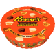 Reeses Peanut Butter Miniature Cups - Tin 345g