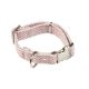 Zöon Primo WalkAbout Dog Collar - Blush XS