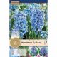Hyacinth Sky Planet
