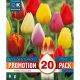 Tulip Triumph Mixed Colours - Promotion Pack of 20 Bulbs