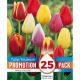 Promotion Pack - Tulip Triumph Mixed Colours (25 Bulbs)