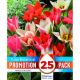 Promotion Pack - Tulip Botantical Mixed Colours (25 Bulbs)