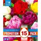 Tulip Double Mixed Colours - Promotion Pack of 15 Bulbs