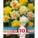 Promotion Pack - Narcissi Double Mixed Colours (10 Bulbs)