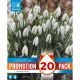 Snowdrops 'Galanthus' - Promotion Pack of 20 Bulbs